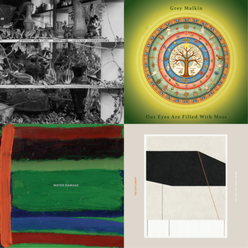 Windy and Carl With Optigan Conservatory – Windy And Carl Meet Optigan Conservatory / Grey Malkin – Our Eyes Are Filled With Moss / Water Damage – Repair / The Leaf Library – Library Music: Volume Two