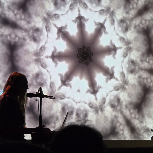 Jarboe live May 2026