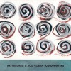 Art-Errorist & Acid Cobra - Cold Waters