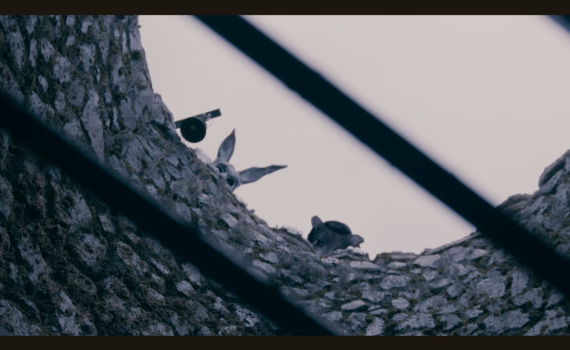 Bare Skin screengrab