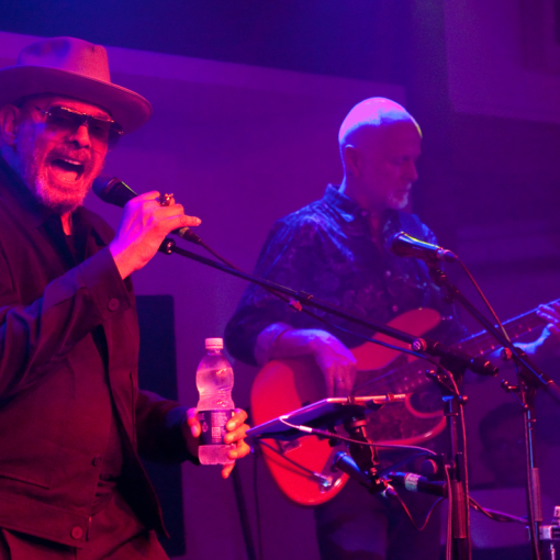 Barry Adamson live May 2024