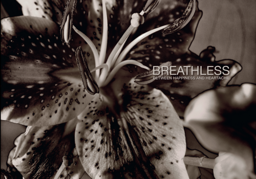 Breathless - Between Happiness And Heartache