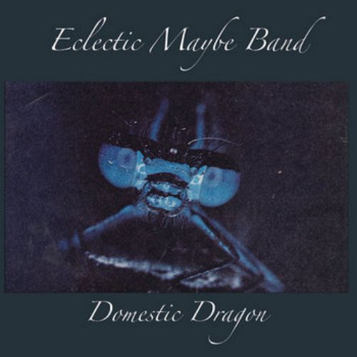 Eclectic Maybe Band - Domestic Dragon