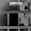 Godflesh - Decline and Fall