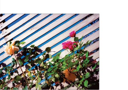 James Holden and Wacław Zimpel - The Universe Will Take Care Of You