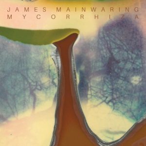 James Mainwaring - Mycorrhiza