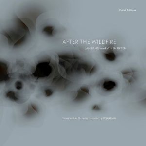 Jan Bang and Arve Henriksen - After The Wildfire