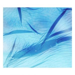 Jolanda Moletta and Karen Vogt - Sea-swallowed Wands