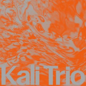 KALI Trio - The Playful Abstract