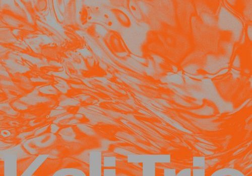 KALI Trio - The Playful Abstract