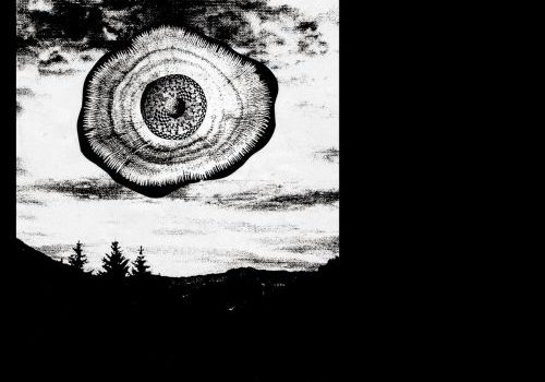 Kaukolampi - Synestopia Variations 1-4