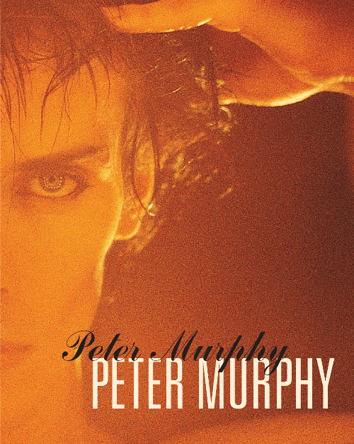 Peter Murphy - 5 Albums