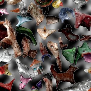 Polypores - Wildlife