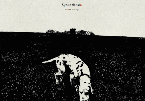 Ronan Courty - Synesthesia