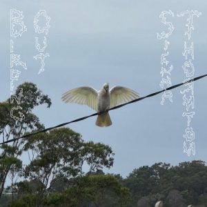 Sienna Thornton - Birding Out