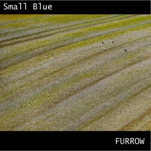 Small Blue - Furrow