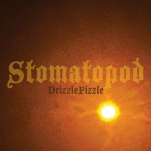 Stomatopod – DrizzleFizzle