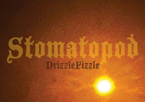 Stomatopod – DrizzleFizzle