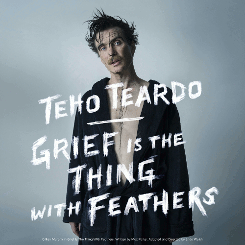 Teho Teadro - Grief Is The Thing With Feathers