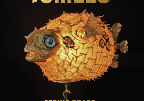 The Chills - Spring Board