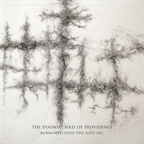 The Doomed Bird Of Providence - Burrowed Into The Soft Sky