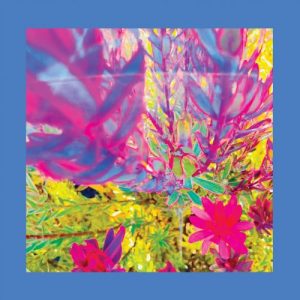 The Reds, Pinks And Purples - The Past Is A Garden I Never Fed