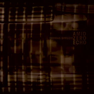 Thomas Dimuzio - Amid Zero Echo