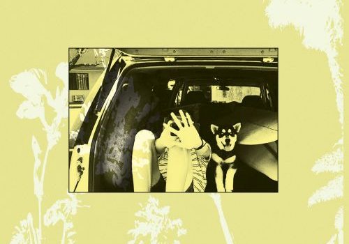 Throwing Muses - Moonlight Concessions