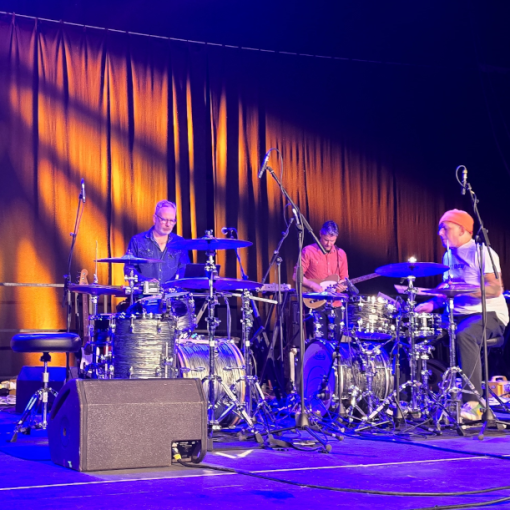 Tortoise live 2025