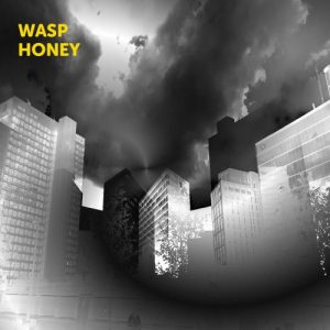 Wasp Honey - s/t